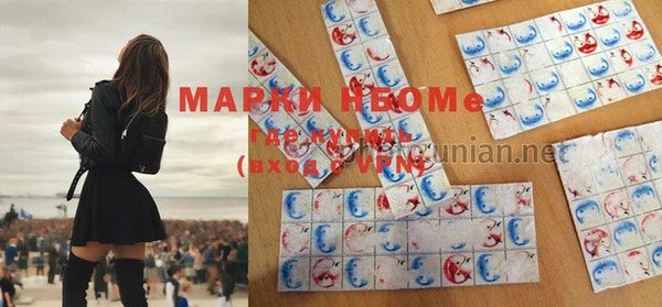 ешки Алзамай