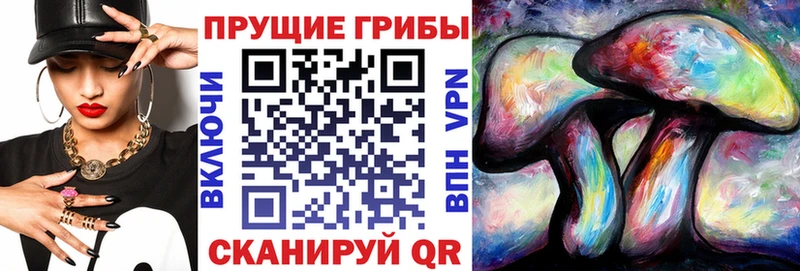 Псилоцибиновые грибы Psilocybe  Тейково 